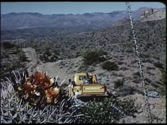 Arizona Utopia (Part 2)