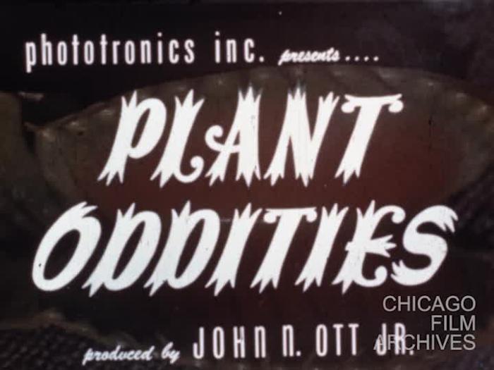 Plant Oddities