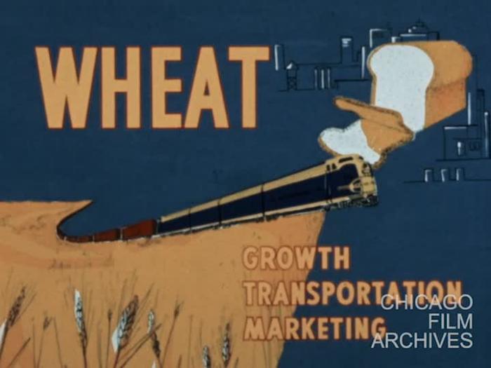 The Story of Wheat