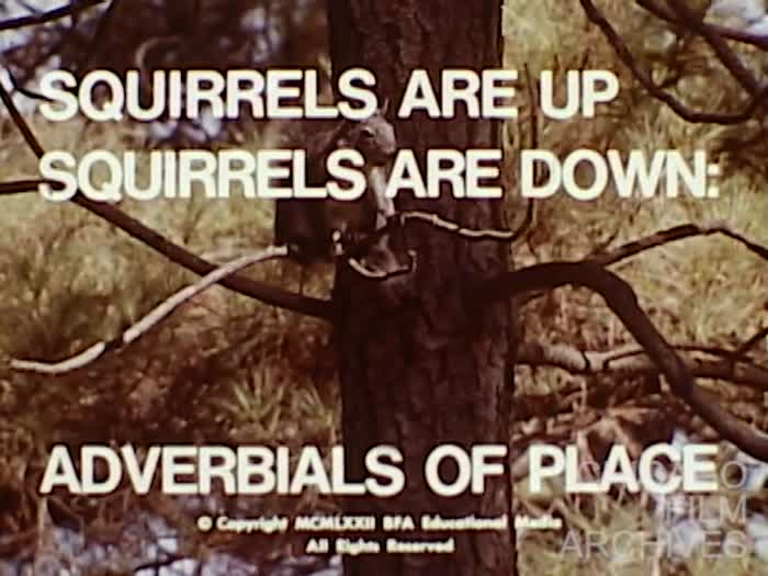 Squirrels Are Up, Squirrels Are Down: Adverbials of Place