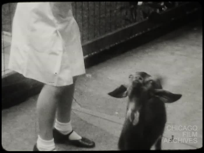 1933: Hyde Park - Pet Goat P.D.