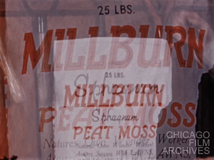Millburn Spots