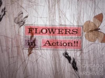 Flowers in Action: Spring Bulbs