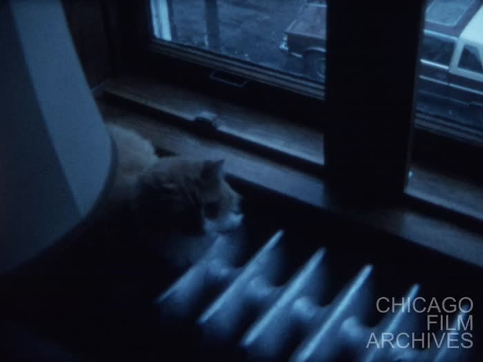 Three Lyric Films: Sappho's Blue Dream / Beach / Meat