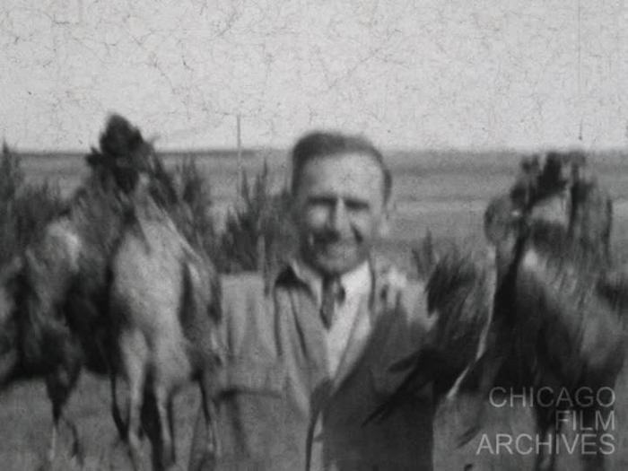 Pheasant Hunt