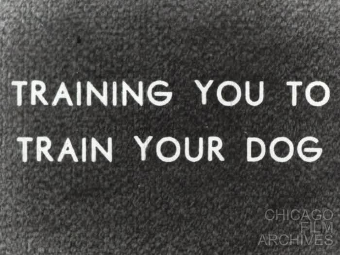 Training You To Train Your Dog (Part 1 of 2)