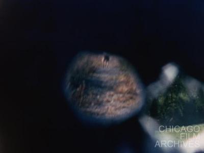 A Country Mile (2025 Preservation Print)