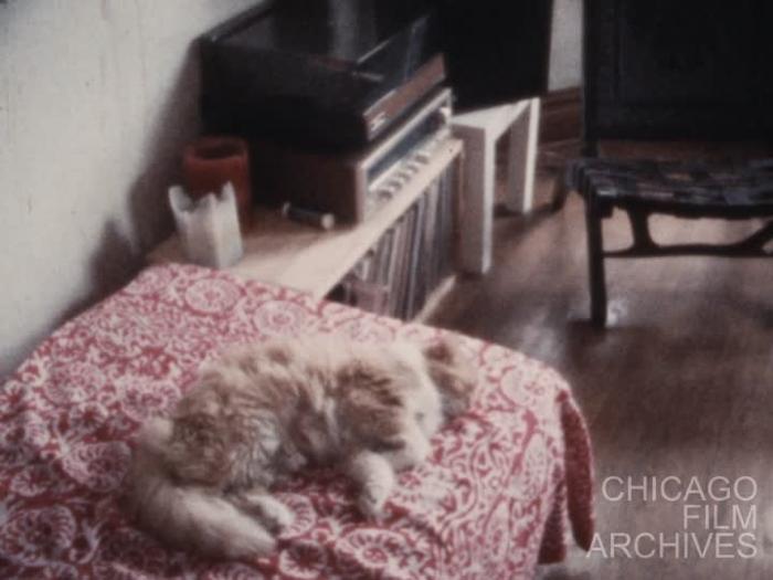 Pedestrian Wavelength