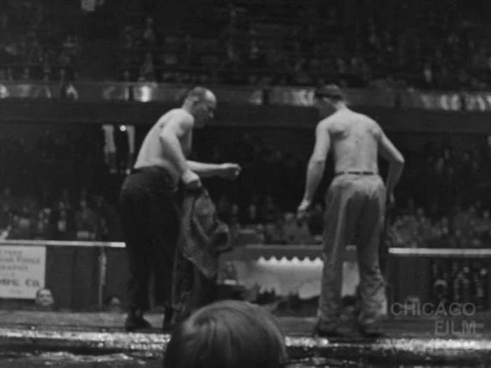 Log Rolling Alligator Dog Act