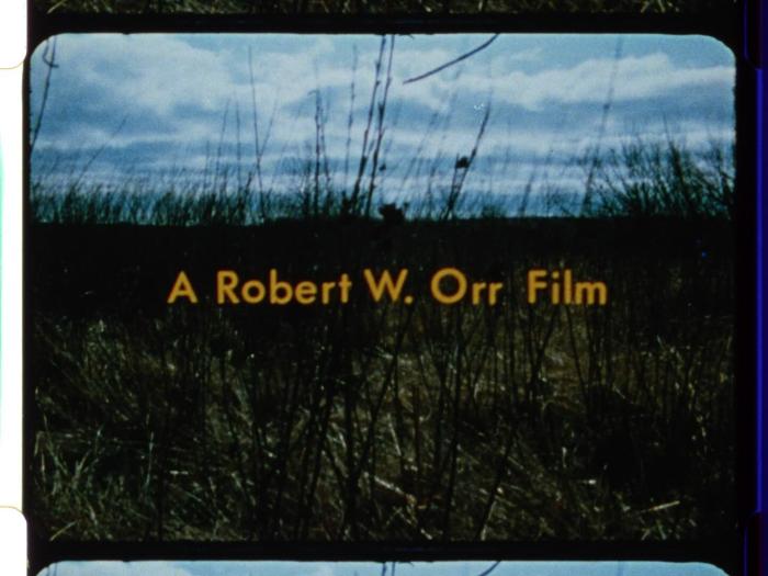 Rob Orr Collection
