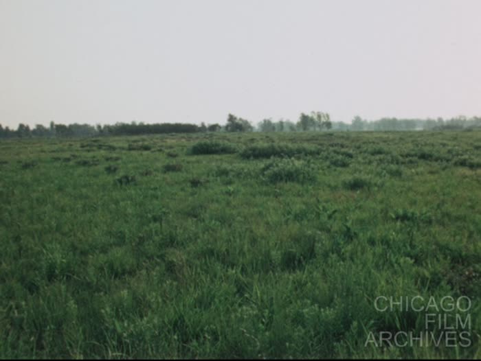 Markham Prairie