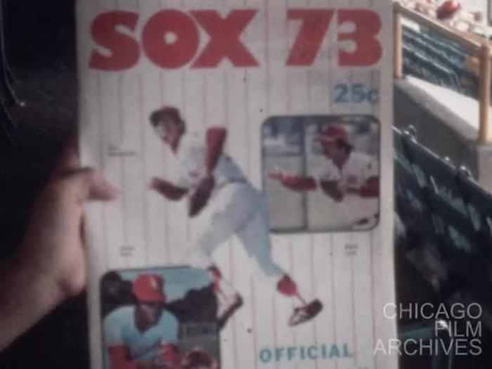White Sox Baseball Game