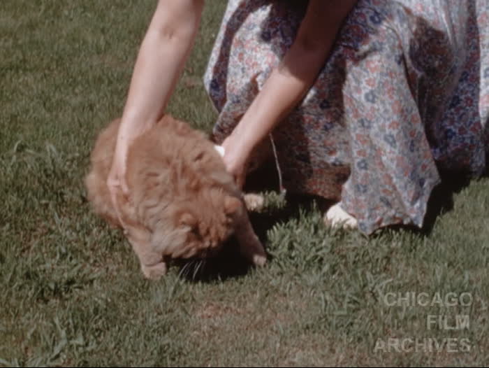 1952: Toby, family in yard - Suzy at Kiddie Park - La Grange pooch - Suzy and roller skates